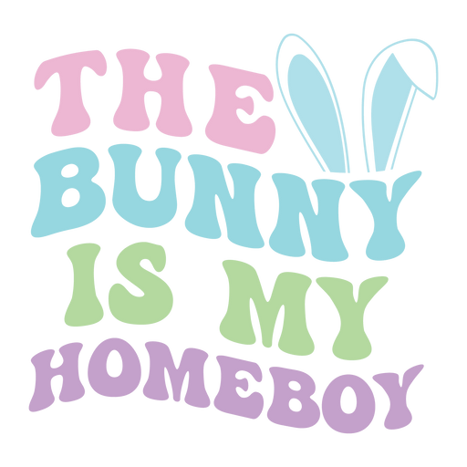 The Bunny Is My Homeboy Easter Design - DTF Ready To Press - DTF Center