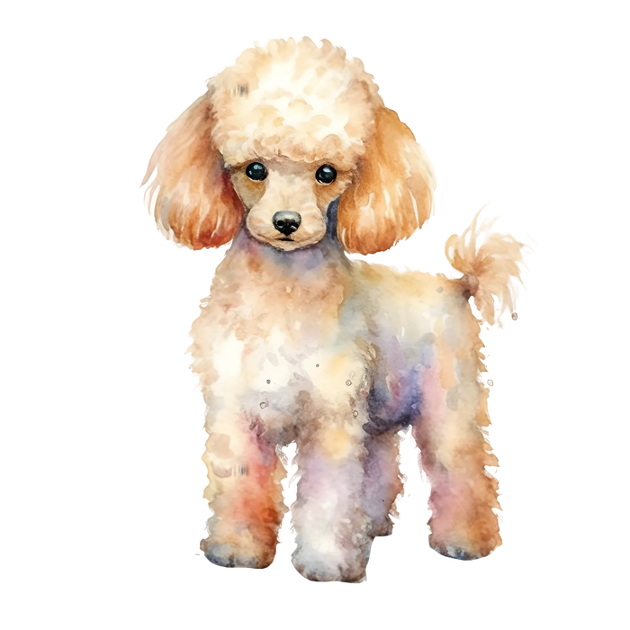 Poodle DTF Transfer Ready to Press