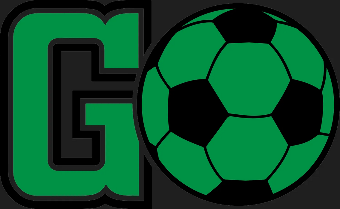 Go Team Soccer Ball DTF Transfer Ready to Press