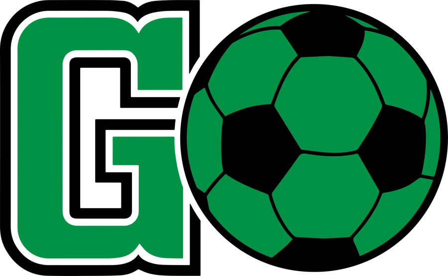 Go Team Soccer Ball DTF Transfer Ready to Press