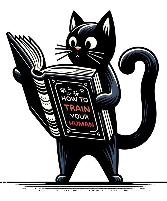 Cat Lover DTF Transfer Ready to Press - How to Train Your…