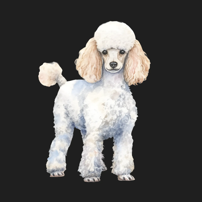 Poodle DTF Transfer Ready to Press