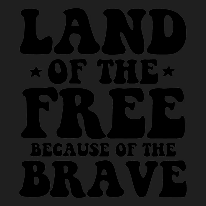 Land of the Free Brave DTF Transfer Ready to Press