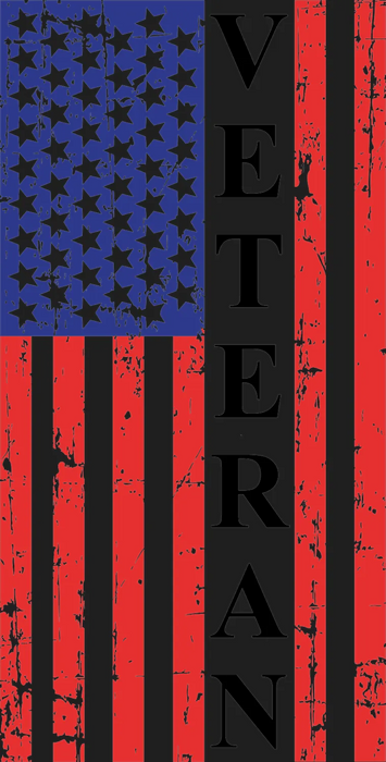 Veteran American Flag DTF Ready to Press