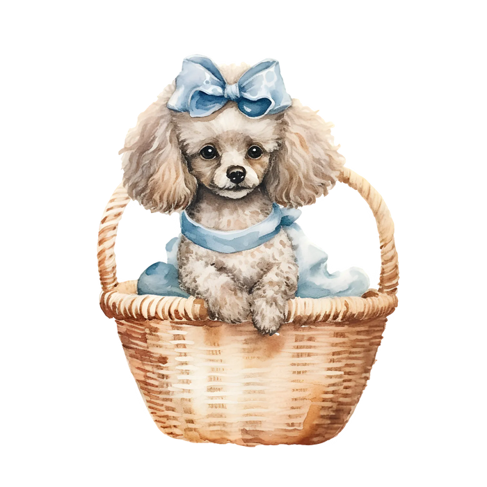 Cute Poodle Basket DTF Transfer Ready to Press