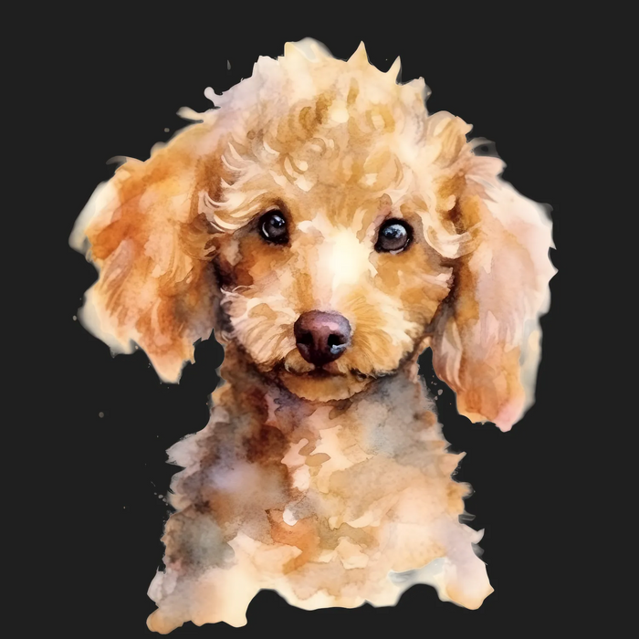 Poodle Portrait DTF Transfer Ready to Press