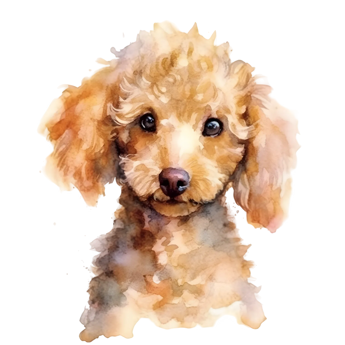 Poodle Portrait DTF Transfer Ready to Press