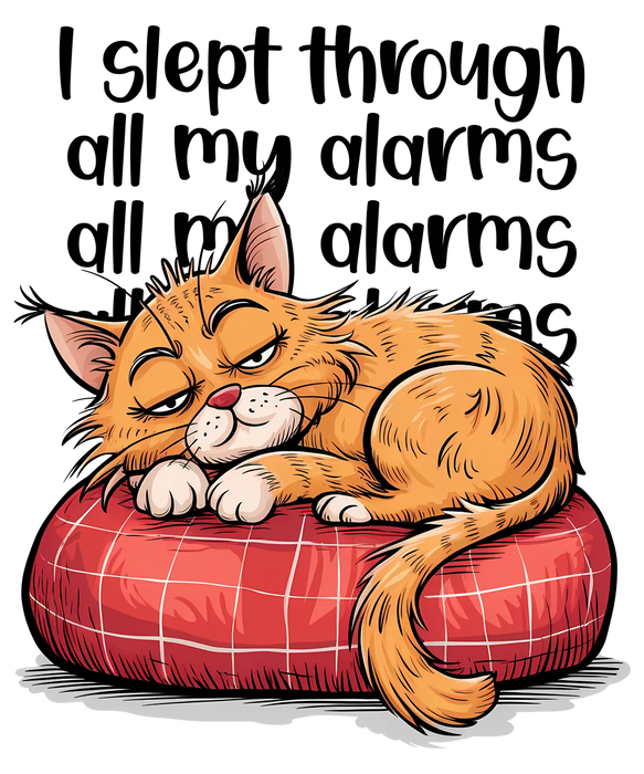 Grumpy Cat Cushion DTF Transfer Ready to Press