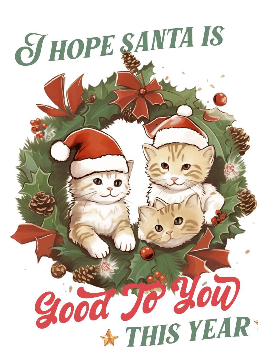 I Hope Santa Is Good To You Design - DTF Ready To Press