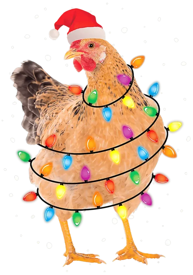 Christmas Chicken Design - DTF Ready To Press