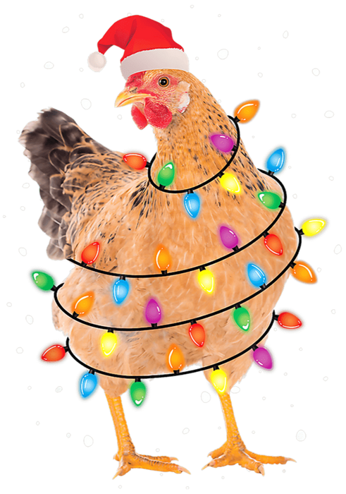 Christmas Chicken Design - DTF Ready To Press