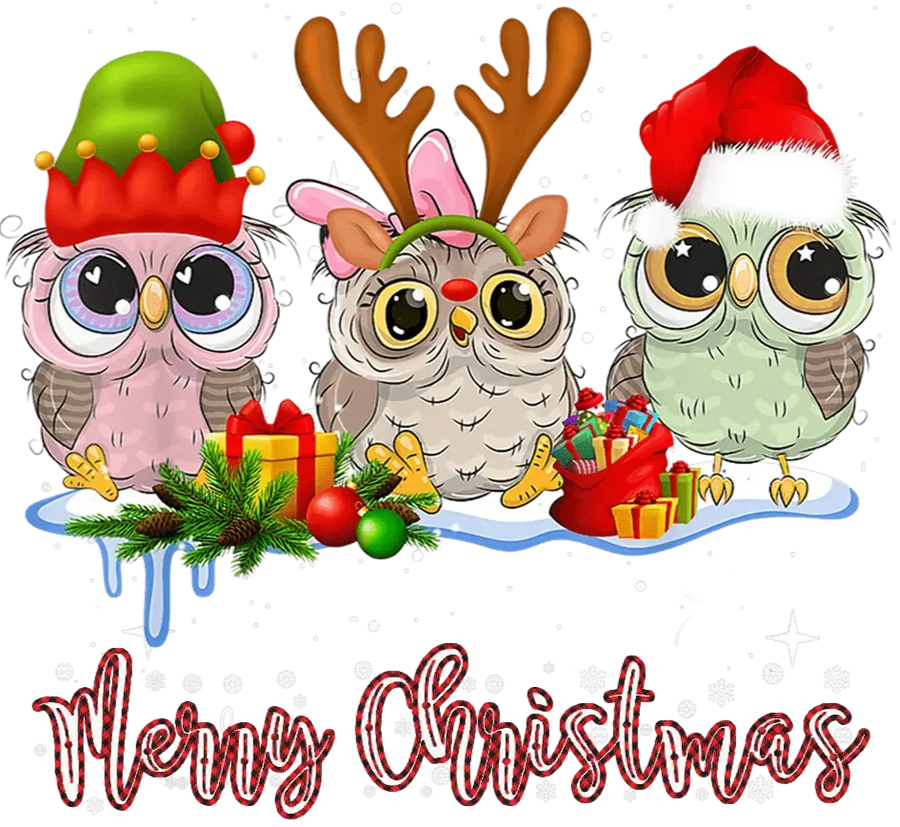 Merry Christmas Owl Design - DTF Ready To Press