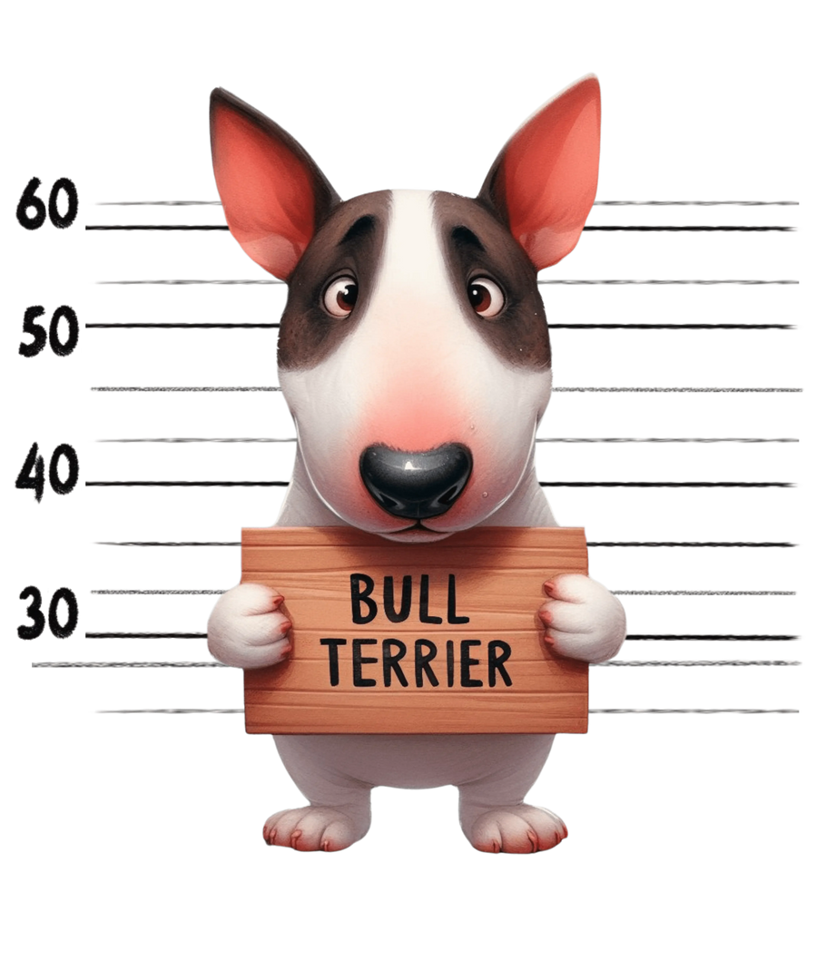 Bull Terrier Sad Dog Design - DTF Ready To Press