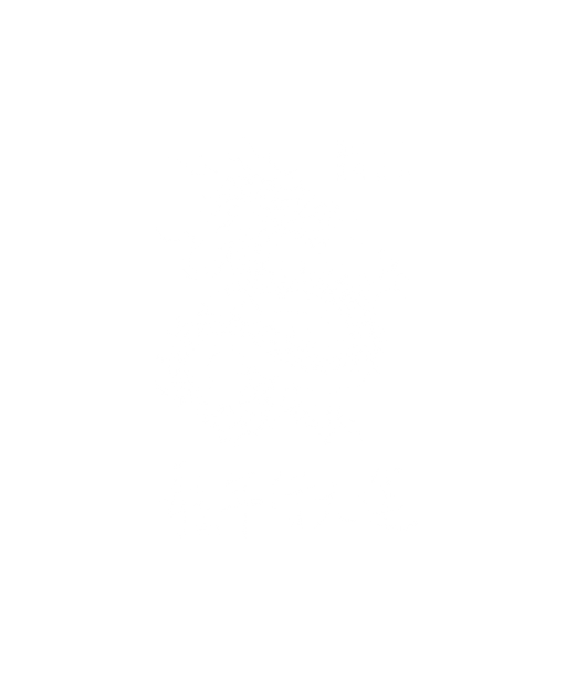 Chinese Dragon - DTF Ready to Press (original)