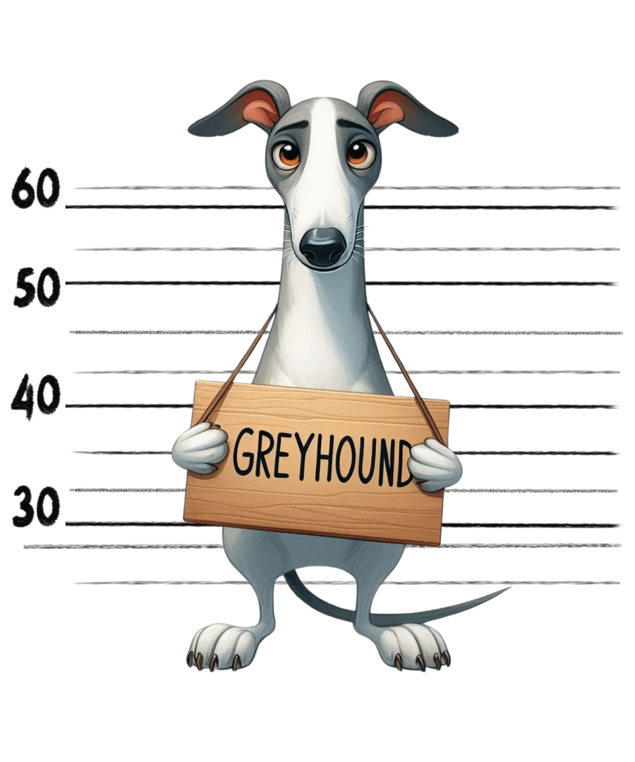Greyhound Design - DTF Ready To Press