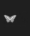 Happiness Butterfly - DTF Ready to Press (black_bg)