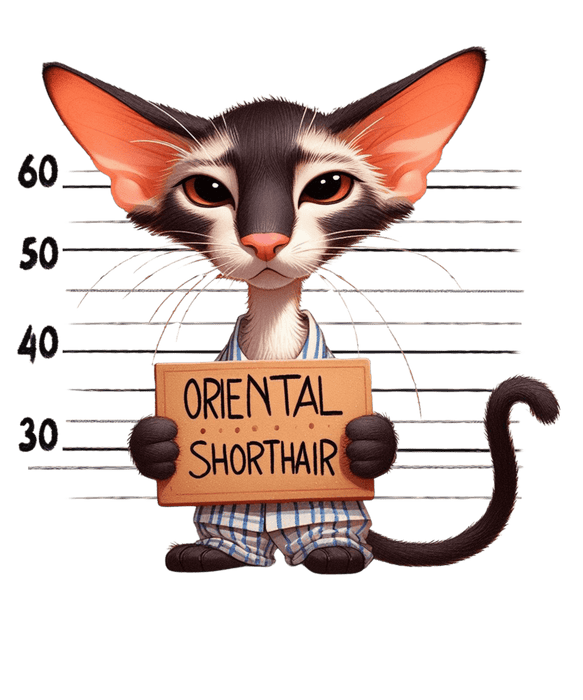 Oriental Shorthair Cat Design - DTF Ready To Press