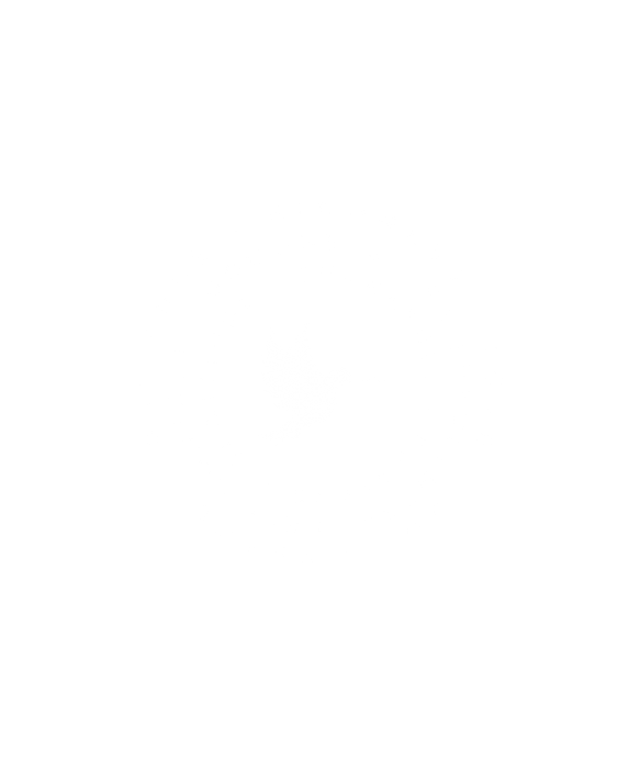 Peace Dove - DTF Ready to Press (original)