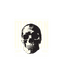 Skull Motion - DTF Ready to Press (original)