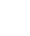 Snail Lover Shirt - DTF Ready to Press (original)
