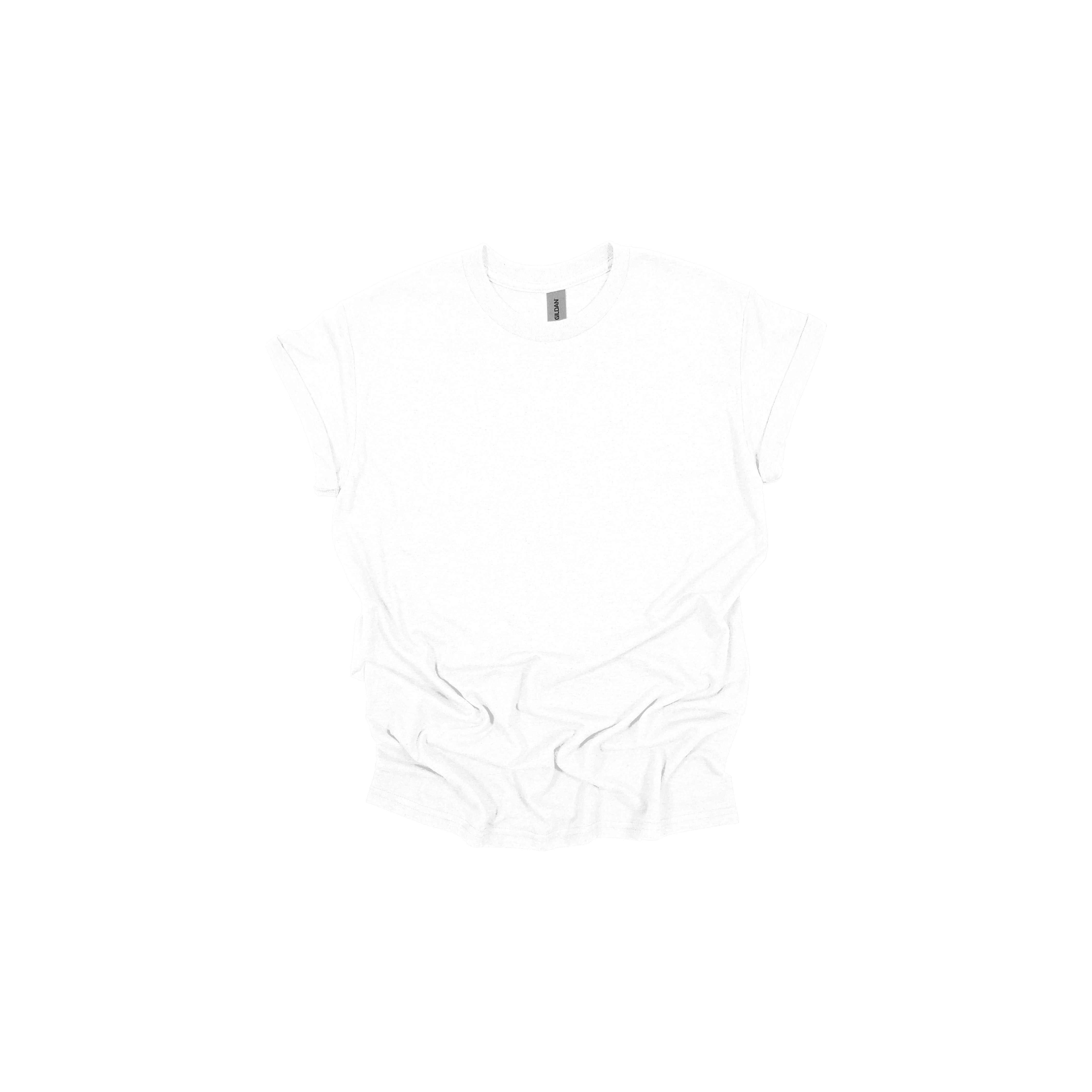 Custom T-Shirt / Gildan 5000