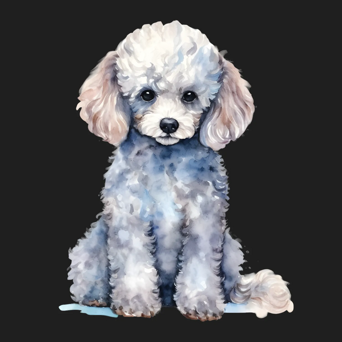 Poodle Print DTF Transfer Ready to Press