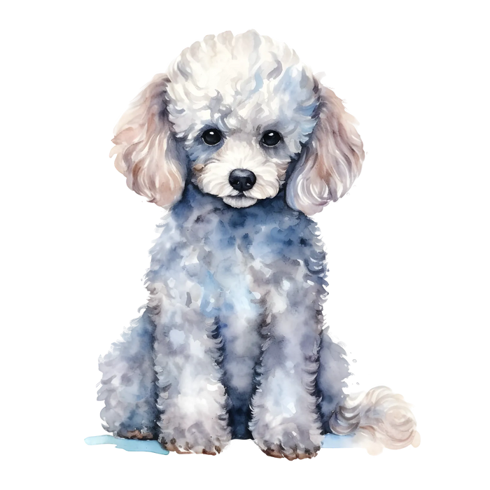 Poodle Print DTF Transfer Ready to Press