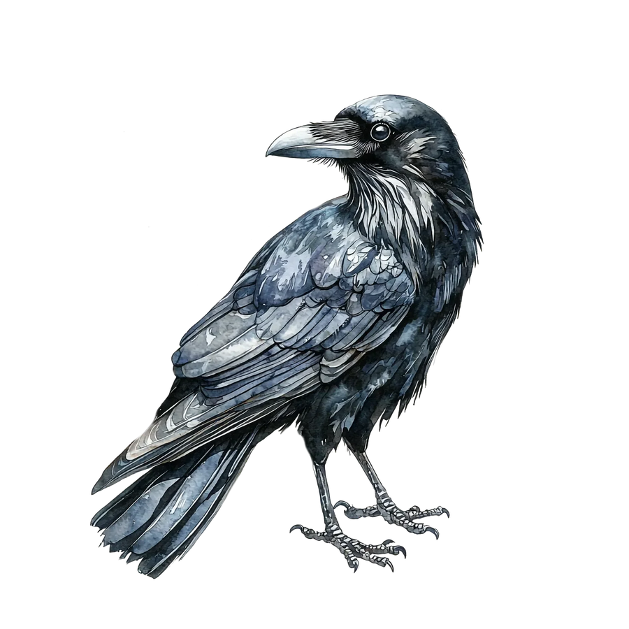 Raven Art DTF-Transfer - Fertig zum Pressen