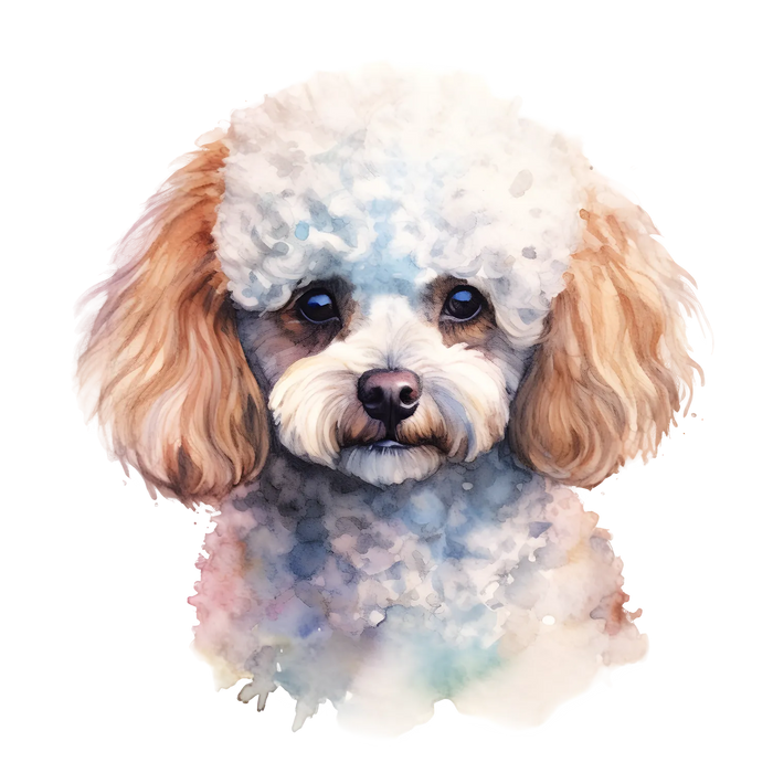 Cute Poodle Portrait DTF Transfer Ready to Press