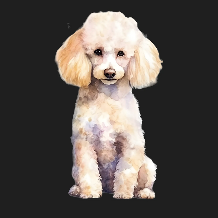 Cute Poodle Watercolor DTF Transfer Ready to Press