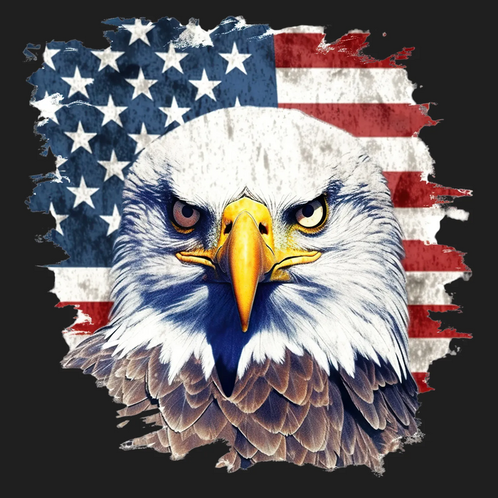 Eagle American Flag DTF Transfer Ready to Press