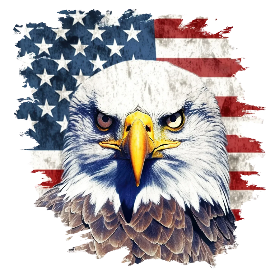 Eagle American Flag DTF Transfer Ready to Press