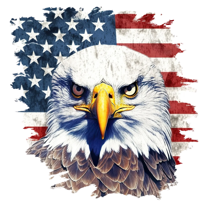 Eagle American Flag DTF Transfer Ready to Press