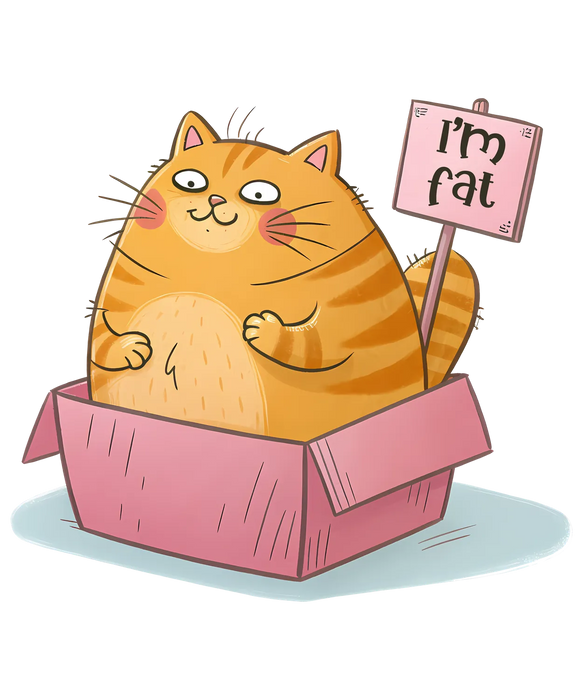 Fat Cat DTF Transfer Ready to Press