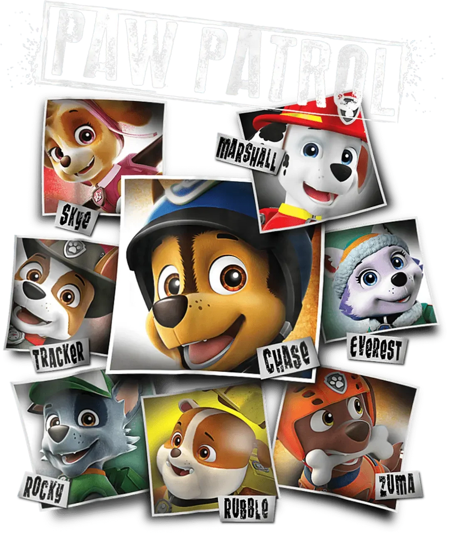 Paw Patrol Party Design - DTF Ready To Press